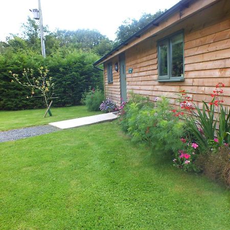 The Potting Shed And The Garden Shed Self Catering Villa Carmarthen Exteriör bild