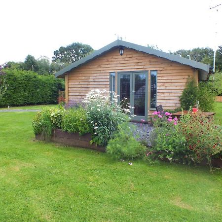 The Potting Shed And The Garden Shed Self Catering Villa Carmarthen Exteriör bild