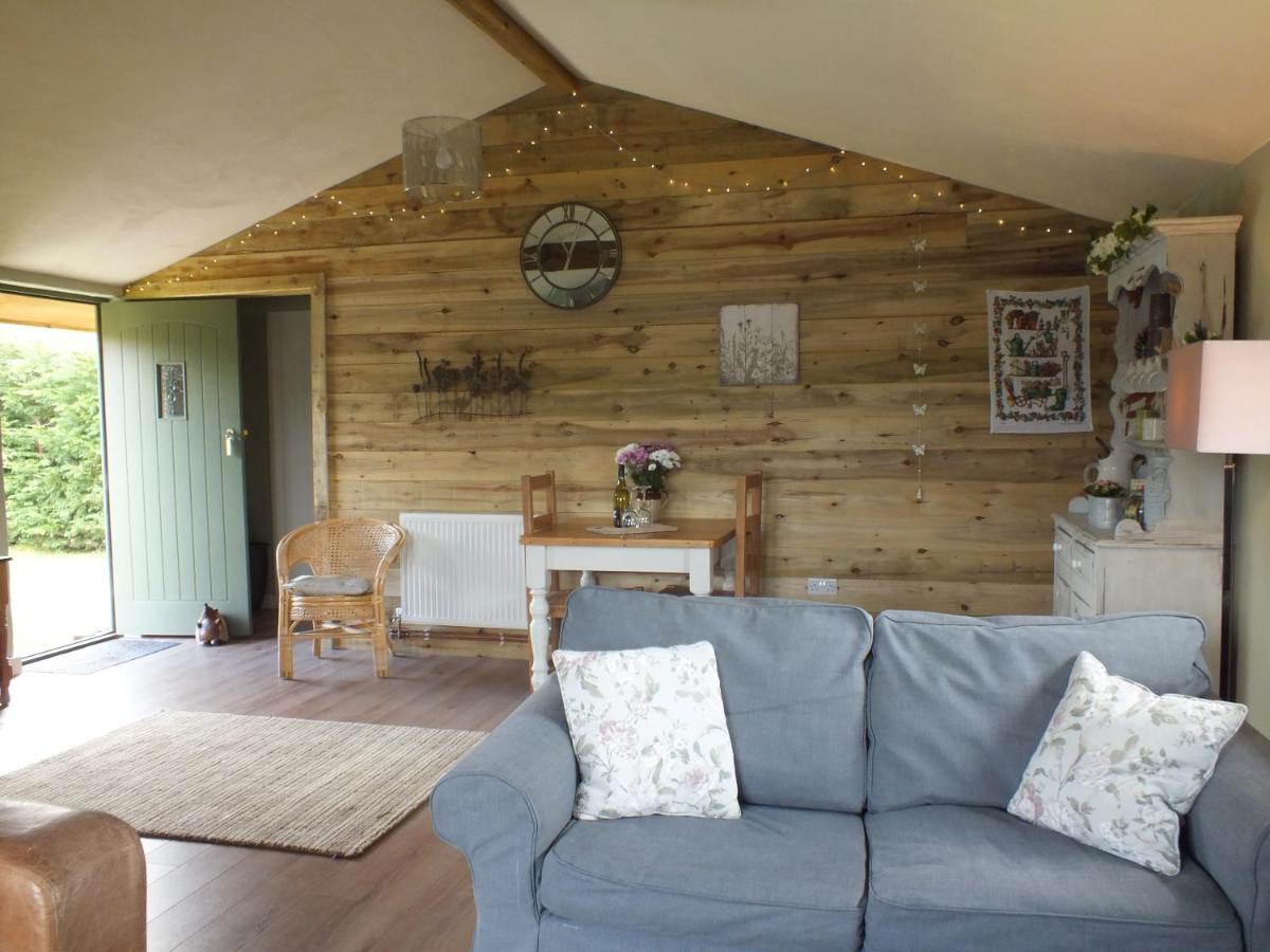 The Potting Shed And The Garden Shed Self Catering Villa Carmarthen Exteriör bild