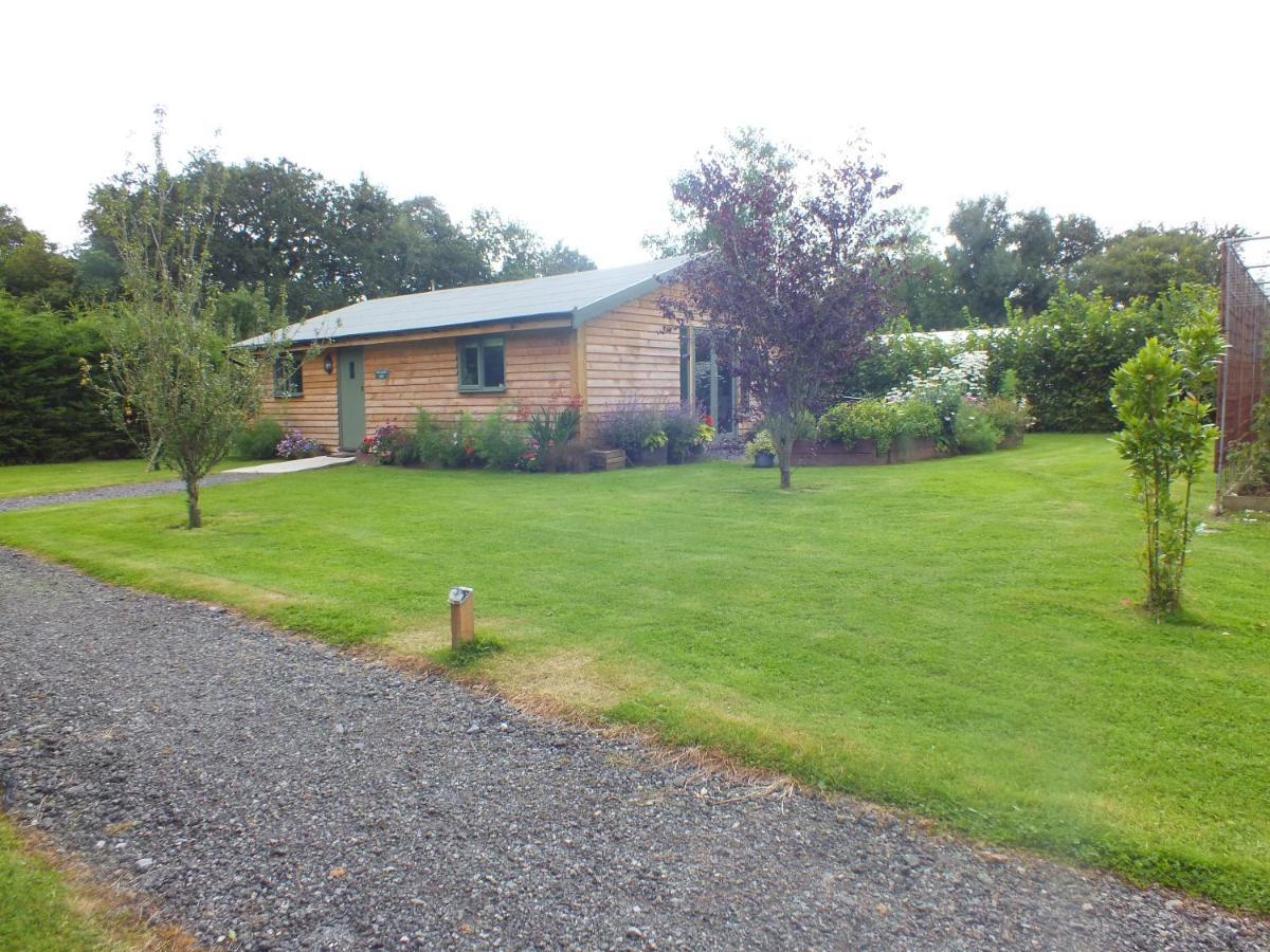 The Potting Shed And The Garden Shed Self Catering Villa Carmarthen Exteriör bild