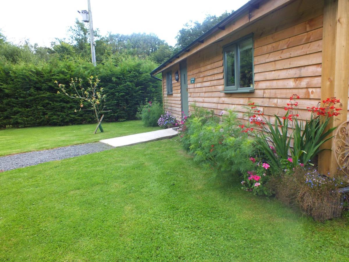 The Potting Shed And The Garden Shed Self Catering Villa Carmarthen Exteriör bild