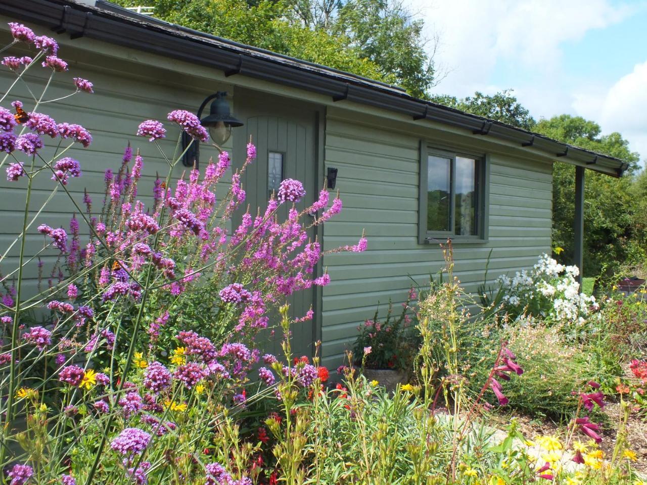 The Potting Shed And The Garden Shed Self Catering Villa Carmarthen Exteriör bild