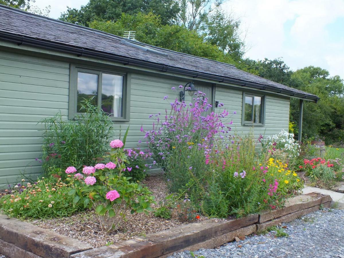 The Potting Shed And The Garden Shed Self Catering Villa Carmarthen Exteriör bild