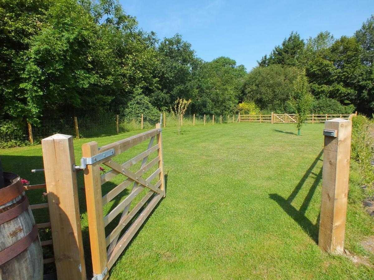 The Potting Shed And The Garden Shed Self Catering Villa Carmarthen Exteriör bild