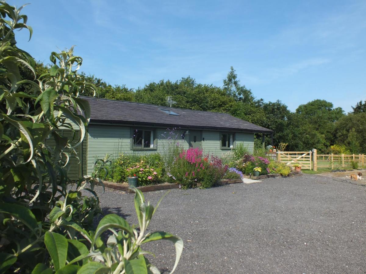 The Potting Shed And The Garden Shed Self Catering Villa Carmarthen Exteriör bild